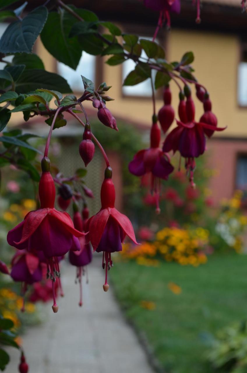 Guest House Zlatniyat Telets Kopriwschtiza Exterior foto
